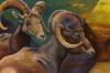 Filename=BighornsPyramids.jpg
Filesize=115KB
Dimensions=907x600
Date added=Jan 14, 2010 BighornsPyramids.jpg