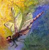 Filename=Dragonfly.jpg
Filesize=38KB
Dimensions=300x305
Date added=Apr 27, 2008 Dragonfly.jpg