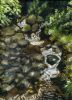 Filename=ForestCreek.jpg
Filesize=49KB
Dimensions=300x413
Date added=Apr 27, 2008 ForestCreek.jpg
