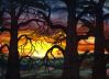 Filename=ForestSunset.jpg
Filesize=35KB
Dimensions=411x300
Date added=Apr 27, 2008 ForestSunset.jpg