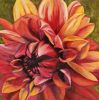 Filename=OrangeDahlia.jpg
Filesize=31KB
Dimensions=300x302
Date added=Apr 27, 2008 OrangeDahlia.jpg