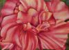 RedHibiscus.jpg