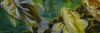 Filename=WellSchooled.jpg
Filesize=25KB
Dimensions=500x166
Date added=Dec 29, 2008 WellSchooled.jpg