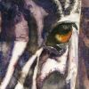 Filename=ZebraEye.jpg
Filesize=31KB
Dimensions=300x300
Date added=Aug 17, 2008 ZebraEye.jpg