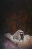 Filename=meerkats.jpg
Filesize=23KB
Dimensions=300x451
Date added=Apr 27, 2008 meerkats.jpg