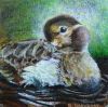 Filename=preen.jpg
Filesize=141KB
Dimensions=500x499
Date added=Dec 29, 2008 preen.jpg